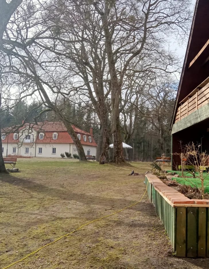 Rustic rural farmstead with red and white barn, large bare tree, fenced garden bed, and wooden shed building