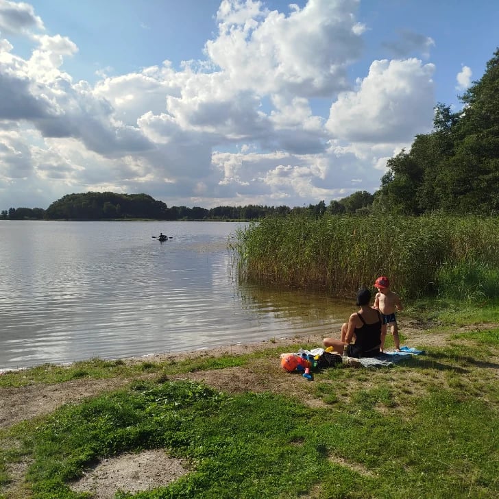 Woman sitting on grassy lakeside beach with reeds, blue sky with white clouds, forested shoreline in background
