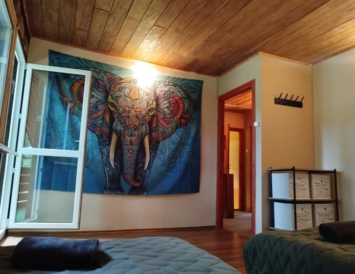 Cozy bedroom with wooden ceiling, large ornate elephant artwork on wall, window, storage shelves, and bed with blue bedding
