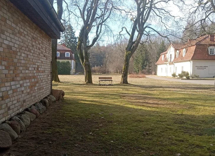 A historic brick courtyard with bare trees, a wooden bench, and traditional colonial-style buildings on either side