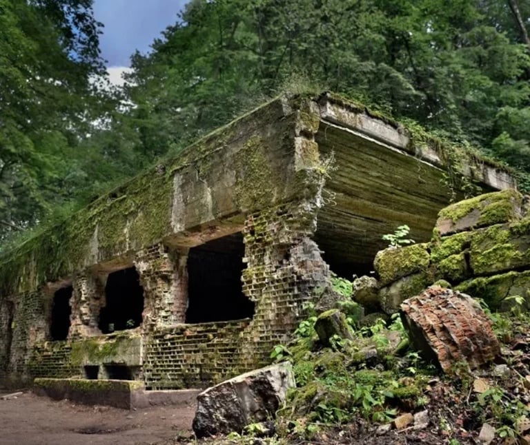 Abandoned stone ruins covered in moss and ivy, surrounded by dense green forest and vegetation