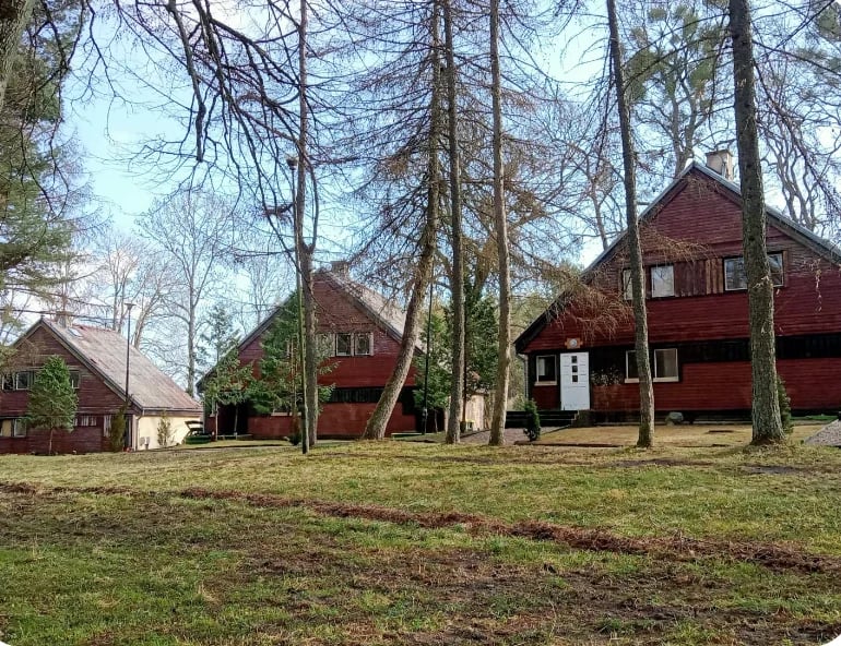 Red barn buildings on a rural property with grass field and tall pine trees in early spring